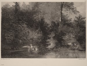 Ankat tekijältä Karl Bodmer