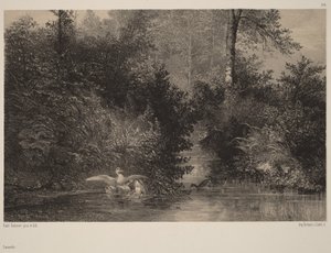 Ankat tekijältä Karl Bodmer
