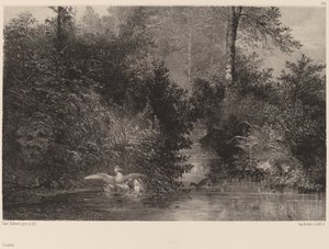 Ankat, 18611866. tekijältä Karl Bodmer