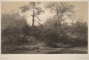 Villisorsat tekijältä Karl Bodmer