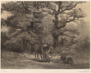Hirvi Gagnagessa tekijältä Karl Bodmer