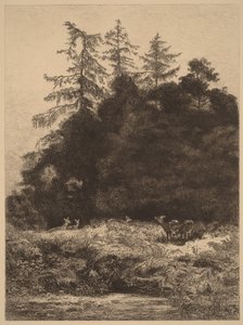 Kauriit puistossa tekijältä Karl Bodmer
