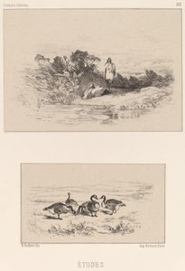 Opinnot tekijältä Karl Bodmer