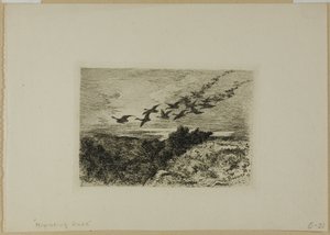 Lentävät hanhet tekijältä Karl Bodmer