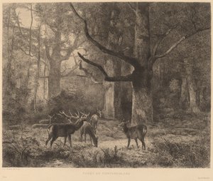Fontainebleaun metsä tekijältä Karl Bodmer