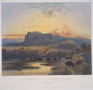 Biisonilauma Ylä-Missourissa tekijältä Karl Bodmer