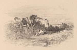 Haikaroita. tekijältä Karl Bodmer