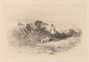 Herons tekijältä Karl Bodmer