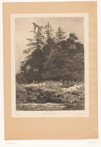 Hirvi metsän reunassa Daims dans un parc (otsikko esineessä) tekijältä Karl Bodmer
