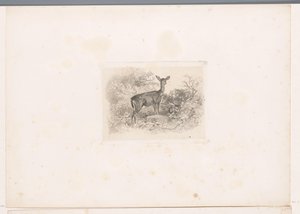 Hindu metsässä Maisemat eläinten kanssa (sarjan nimi) tekijältä Karl Bodmer
