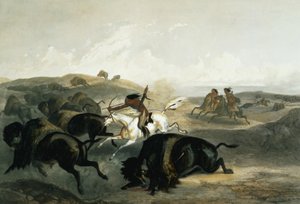 Indians Hunting the Bison, levy 31 kirjan "Travels in the Interior of North America" 2. osasta, kaiverrus Carl Vogel (1816-51) 1844 (akvatinta)