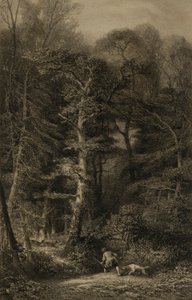 Metsän sisätilat tekijältä Karl Bodmer