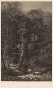 Metsän sisätilat tekijältä Karl Bodmer