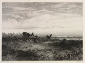 Maisema peuran kanssa tekijältä Karl Bodmer