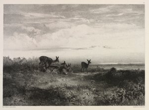 Maisema peuran kanssa, c. 1840. tekijältä Karl Bodmer