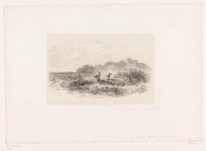 Maisema kahdella valkohäntäpeuralla Maisemat eläinten kanssa (sarjan nimi) tekijältä Karl Bodmer