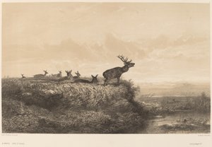 El matí. finlandès tekijältä Karl Bodmer