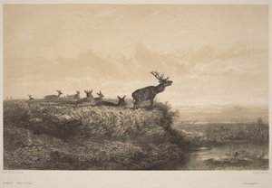 Aamu tekijältä Karl Bodmer