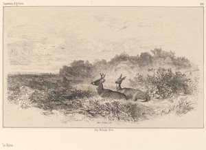 Levätä. tekijältä Karl Bodmer