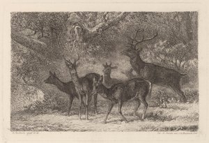 lauma tekijältä Karl Bodmer