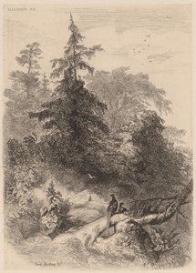 Els Faisans. finlandès tekijältä Karl Bodmer