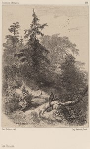 Fasaanit tekijältä Karl Bodmer