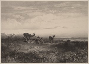 Naaraat tekijältä Karl Bodmer