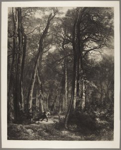 Mies metsässä