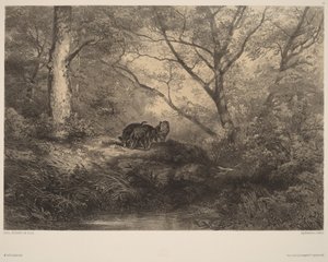 Villisian porsaat tekijältä Karl Bodmer