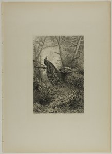 Riikinkukot oksalla tekijältä Karl Bodmer