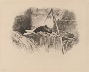Kyyhkynen pesässä. tekijältä Karl Bodmer