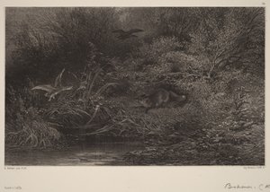 Kettu väijyksissä tekijältä Karl Bodmer