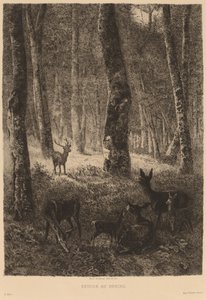 Finès de tornada a casa tekijältä Karl Bodmer