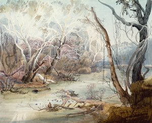 Fox River lähellä New Harmonya, Indiana tekijältä Karl Bodmer