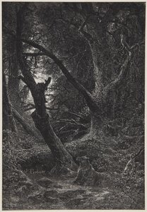 Kaksi karhua metsässä tekijältä Karl Bodmer