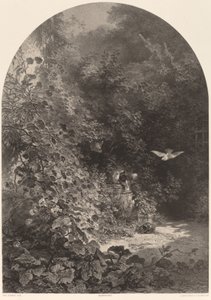 Puutarhan nurkka. tekijältä Karl Bodmer