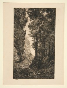 Nouseva tie Auversissa tekijältä Karl Daubigny
