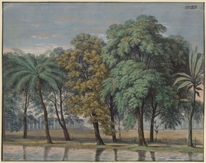  tekijältä Karl Friedrich Schinkel