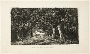 Metsäpolku valmentajan kanssa tekijältä Karl Friedrich Schinkel