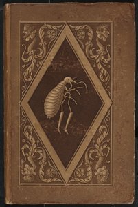 mestari kirppu. Satu kahden ystävän seitsemässä seikkailussa (Master Flea: A Fairy-tale in Seven Adventures of Two Friends tekijältä Karl Friedrich Thiele, Ernst Theodor Amadeus Hoffmann