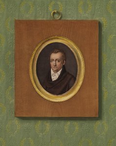 Johann Wolfgang Goethen muotokuva tekijältä Karl Josef Raabe