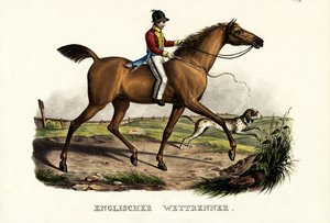 Englantilainen kilpahevonen, 1824 tekijältä Karl Joseph Brodtmann