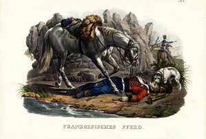 Ranskanhevonen, 1824 tekijältä Karl Joseph Brodtmann