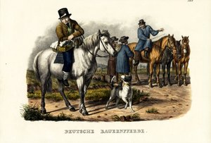 Saksalaiset maatilan hevoset, 1824 tekijältä Karl Joseph Brodtmann