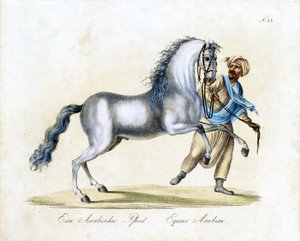  tekijältä Karl Joseph Brodtmann