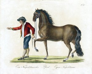  tekijältä Karl Joseph Brodtmann