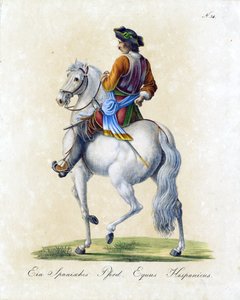  tekijältä Karl Joseph Brodtmann