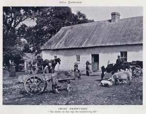 Irish Farmyard (m/w kuva)