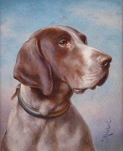 Hunde -muotokuva tekijältä Karl Reichert