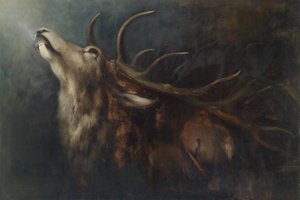 Kuoleva hirvi tekijältä Karl Wilhelm Diefenbach